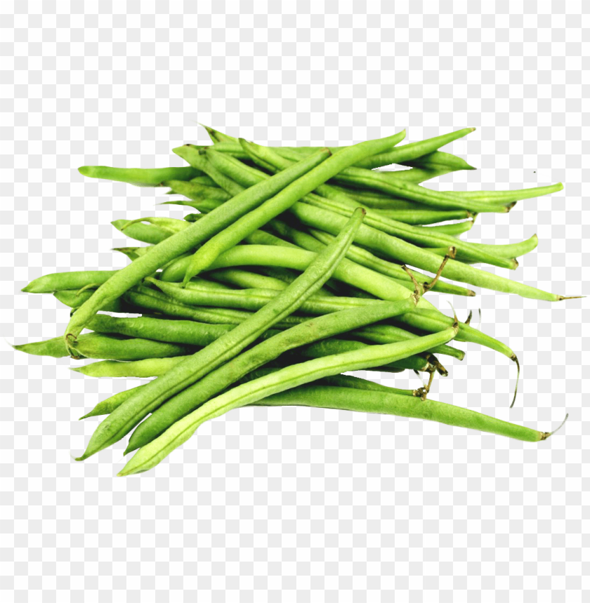 Free download | HD PNG Transparent neatly arranged green beans png PNG ...
