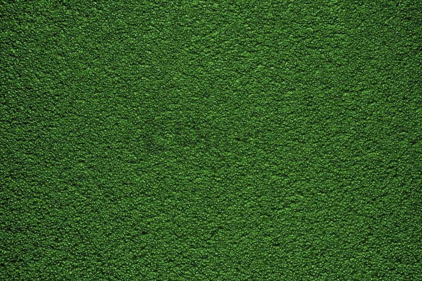 Free download | HD PNG green texture background background best stock