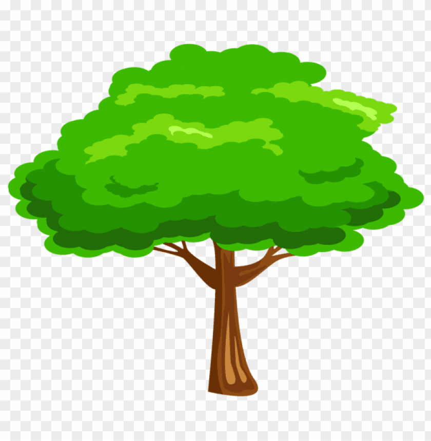Free download | HD PNG PNG image of bright green tree with slender ...