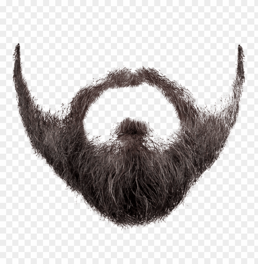 Download grey black beard png - Free PNG Images | TOPpng