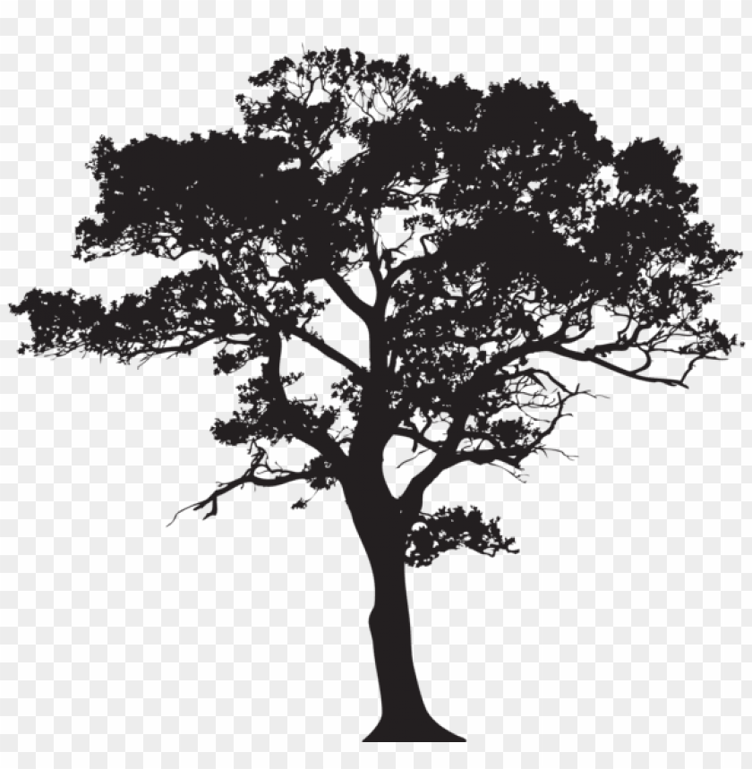 Free download HD PNG gum tree silhouette PNG transparent with Clear
