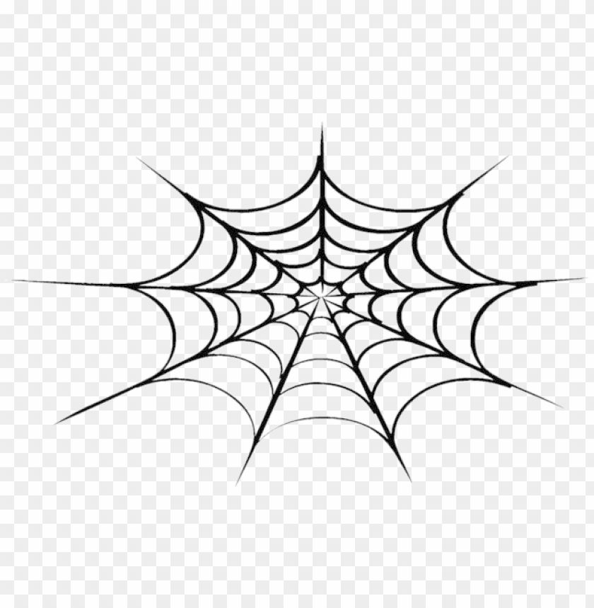 Free download | HD PNG halloween spider web png transparent image ...