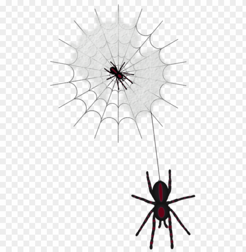 Free download | HD PNG halloween web with spiders png images background ...