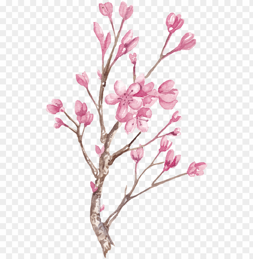 Free download | HD PNG hand painted winter plum blossom branch png ...