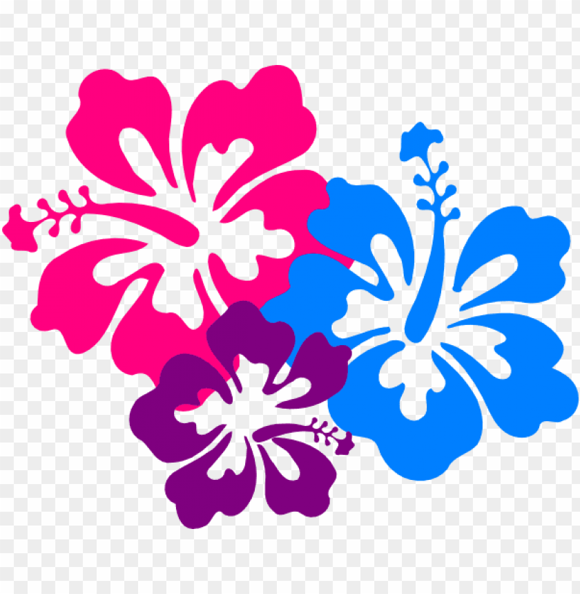 Free download | HD PNG hibiscus border png hibiscus clip art PNG ...