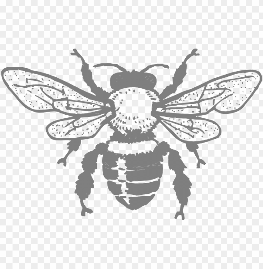 Free Cartoon Bumble Bee Svg