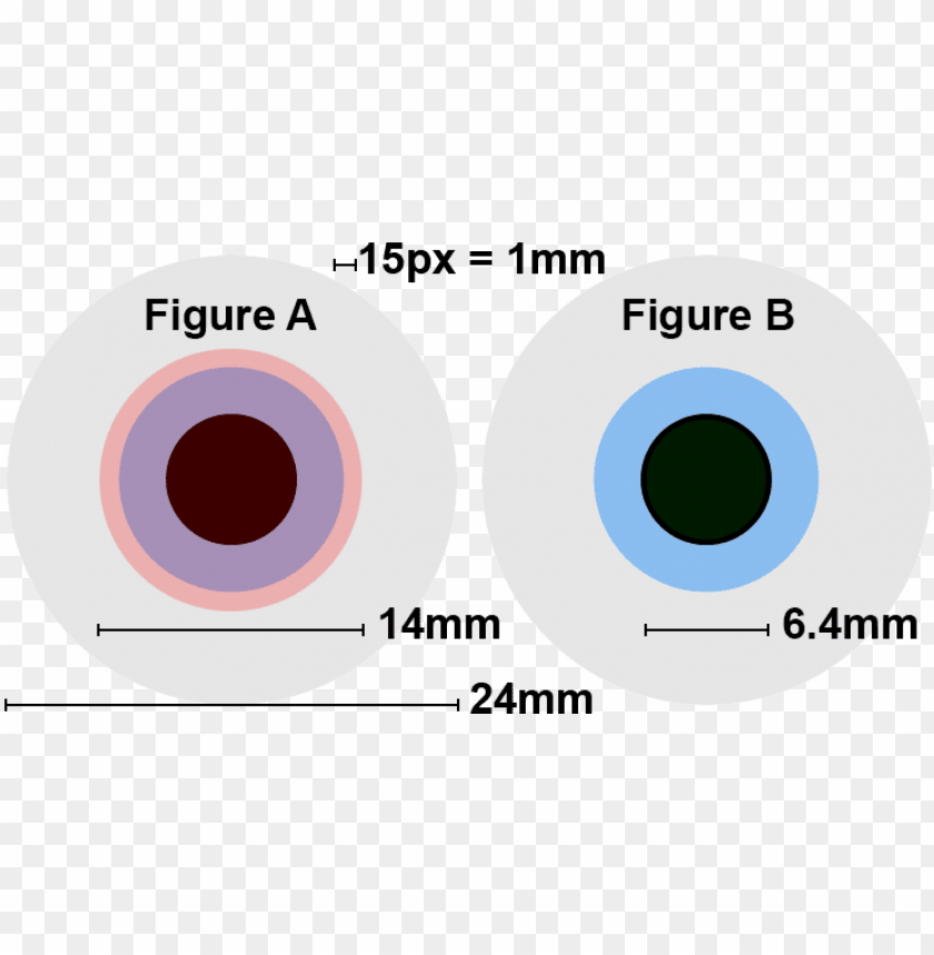 Free download HD PNG human eye lens diameter PNG transparent with