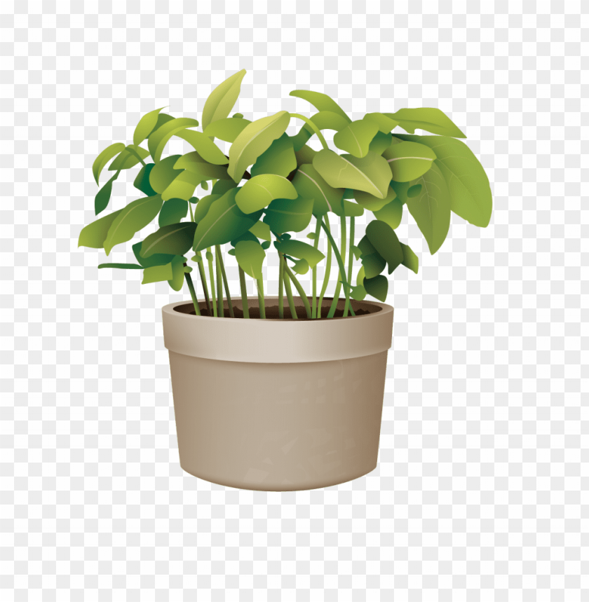 ictures of potted plants best of flowerpot plant vector transparent background potted plant png image with transparent background toppng transparent background potted plant png