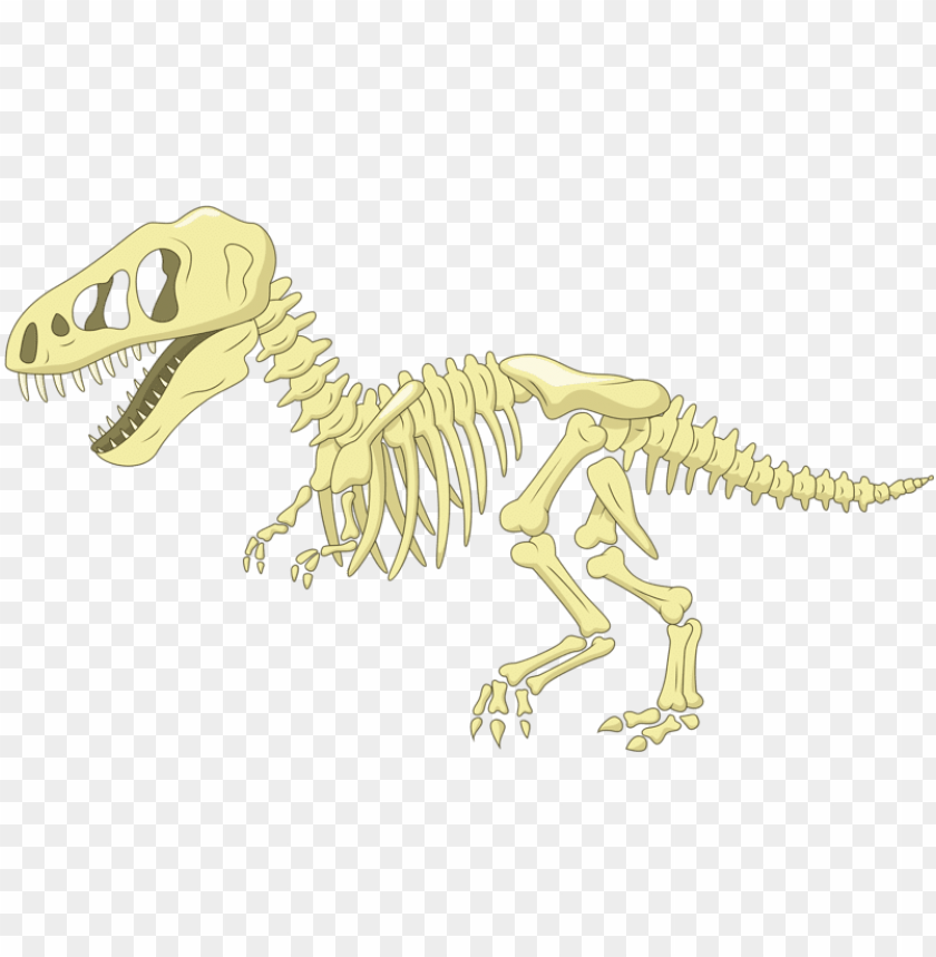 Download Image Transparent Library Bone Cartoon Clip Art Fossil