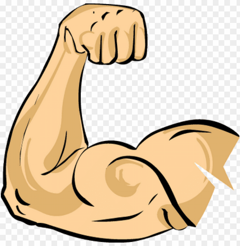 Muscle Cartoon transparent background PNG cliparts free download