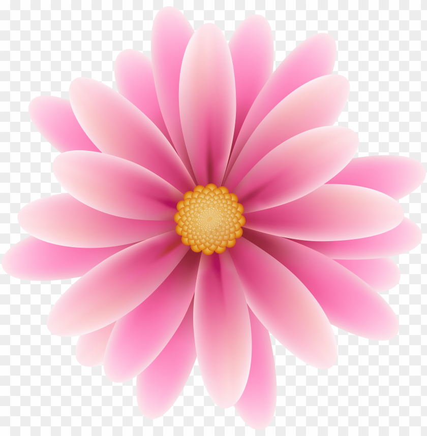 Ink Flower Clip Art Image Pink Flower Clipart Png Image With