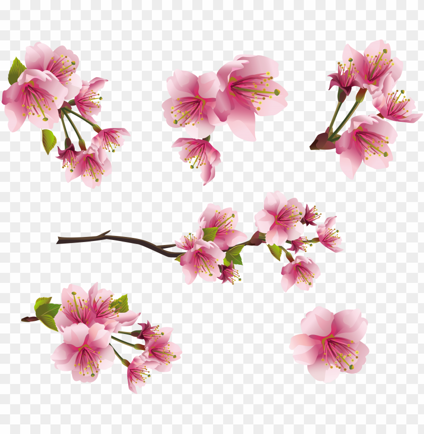 Free download HD PNG ink spring branch elements png clipart picture