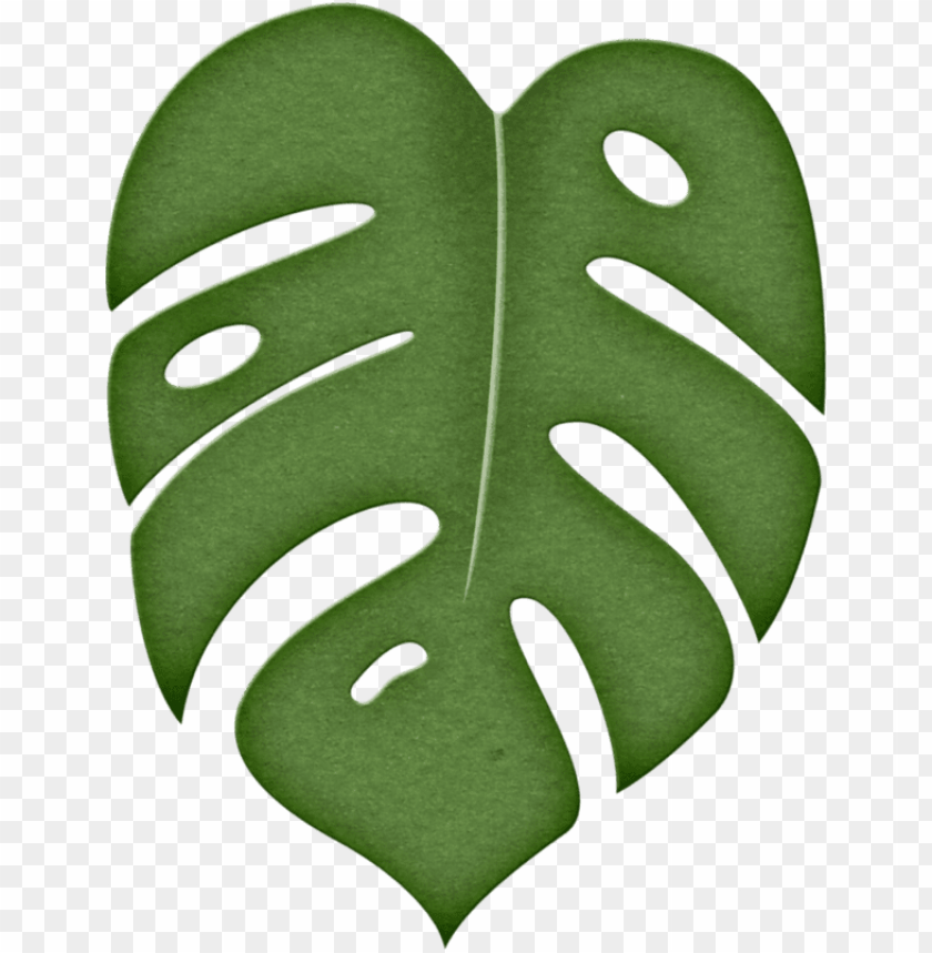 Free download HD PNG jungle leaf PNG transparent with Clear