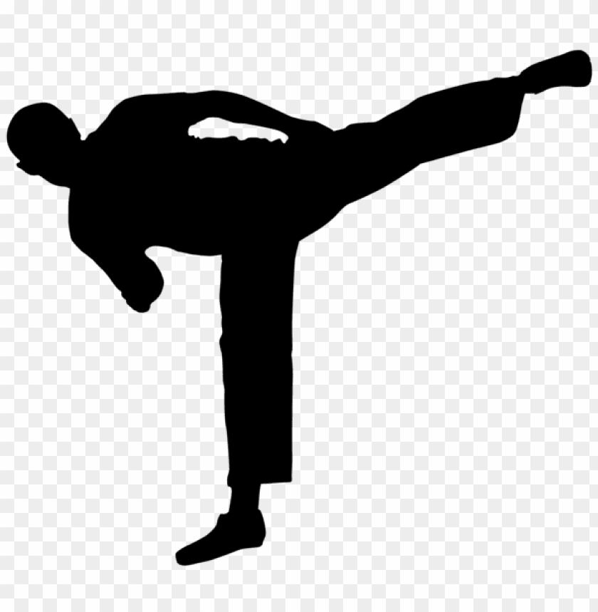 Free download | HD PNG Transparent karate master silhouette PNG Image ...