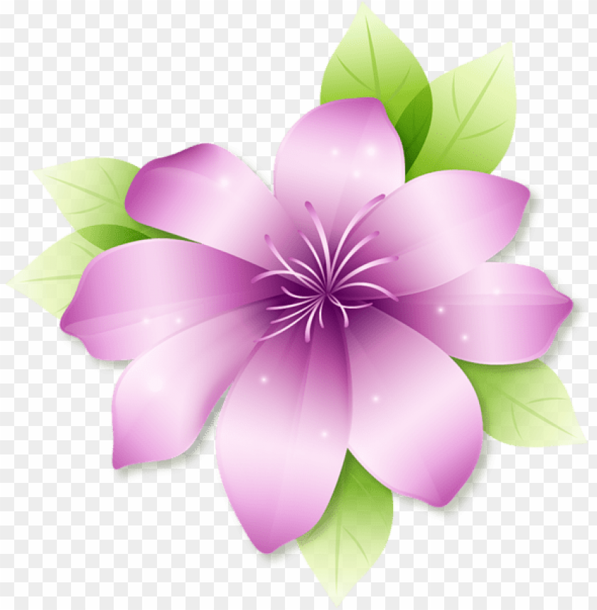 Free download | HD PNG PNG image of large pink flower with a clear ...