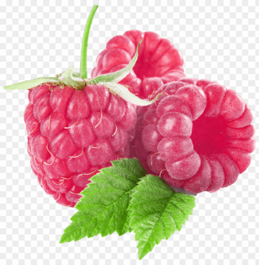 Free download | HD PNG large raspberries png - Free PNG Images ID 51493 ...