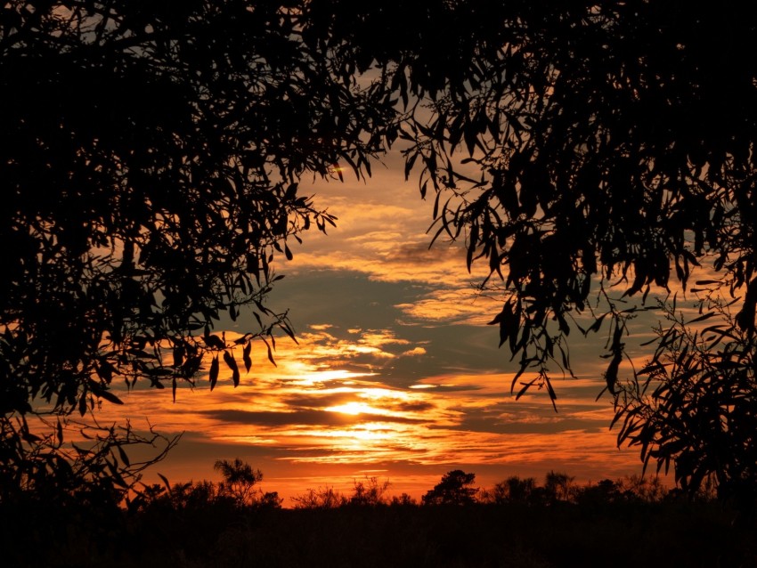 Shadow Background Sunset Free download | HD PNG leaves sunset sky shadows 4k wallpaper | TOPpng