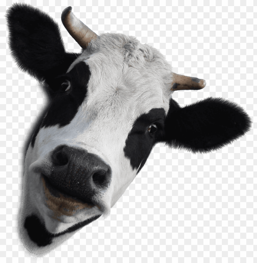 Free download HD PNG library stock dairy farm products chemicals