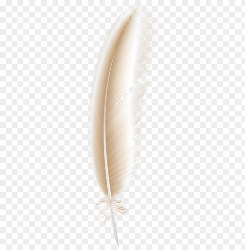 Download light brown feather png png Free PNG Images TOPpng