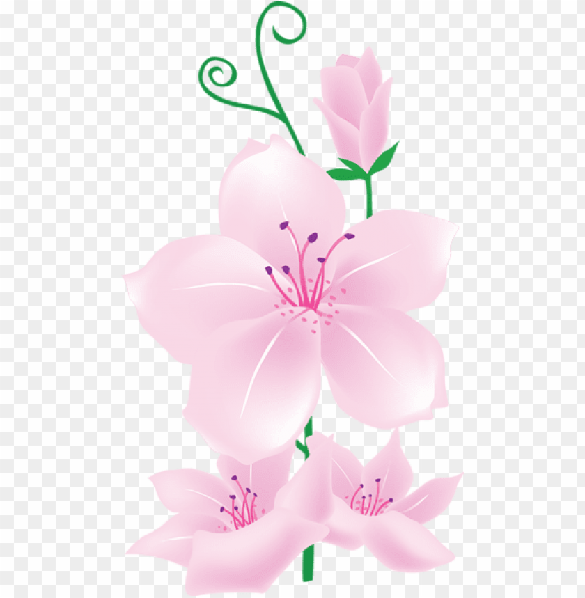 Light Pink Flowers Png Amashusho Images