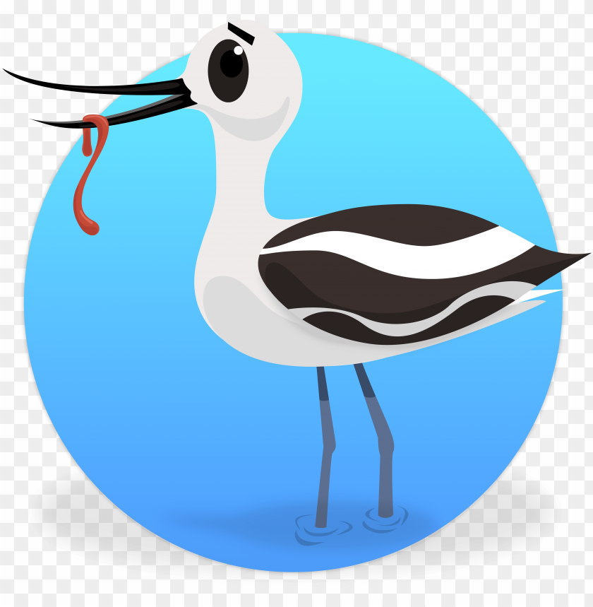 Free download HD PNG like bird PNG transparent with Clear Background