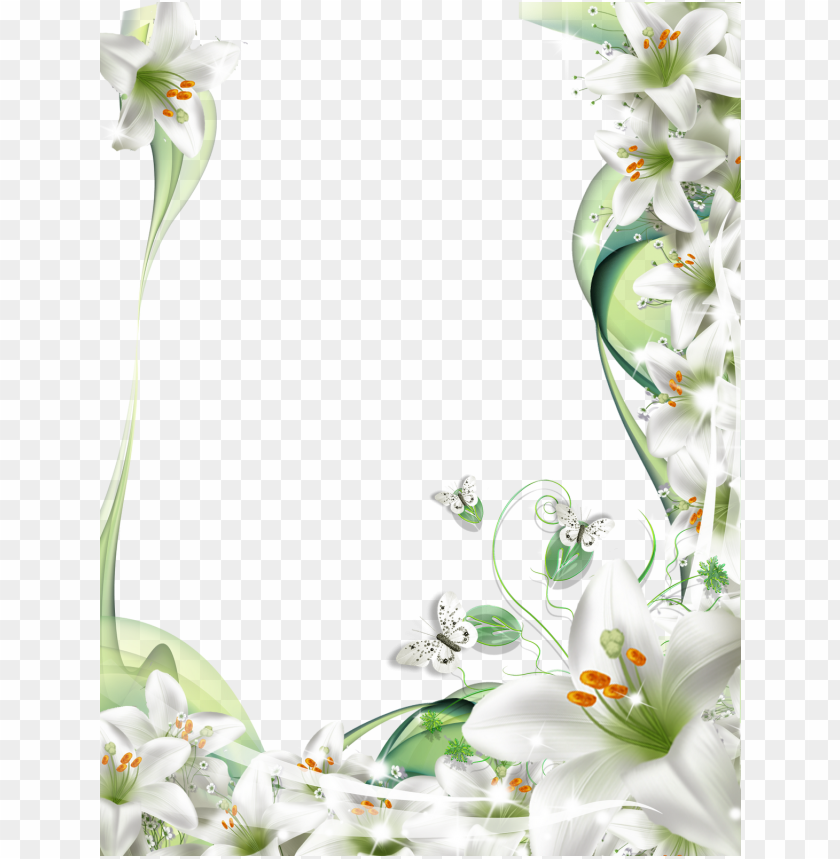 Lilies Frame Suitable For Sympathy Card Frames White Lily Flower