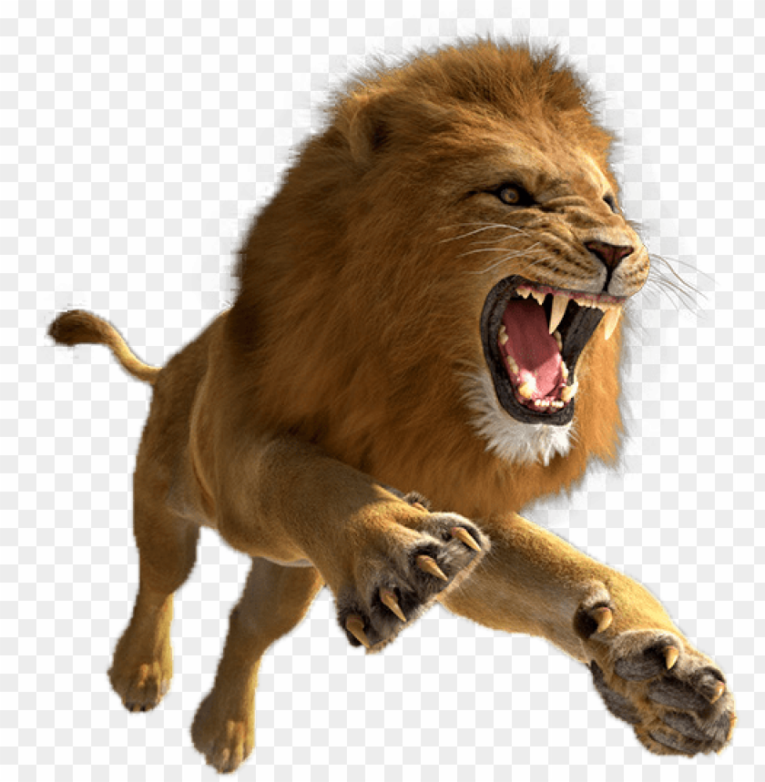 Download lion png pic - lion png - Free PNG Images | TOPpng