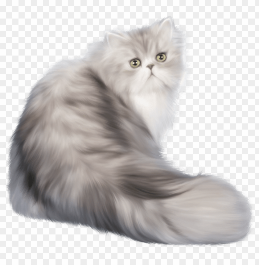 Long Hair Cat Png Image With Transparent Background Toppng - white cats and black background long sleeves roblox