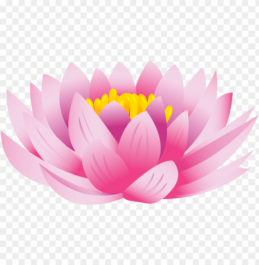 Pink Lotus Flower Clipart 5548