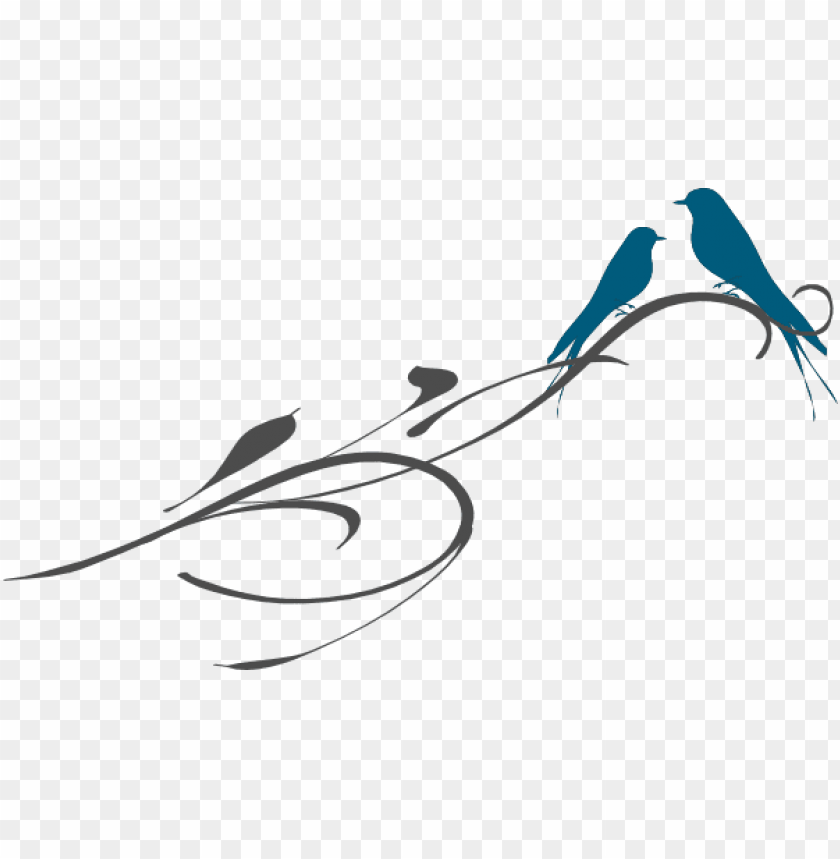 Free download | HD PNG love birds PNG transparent with Clear Background ...