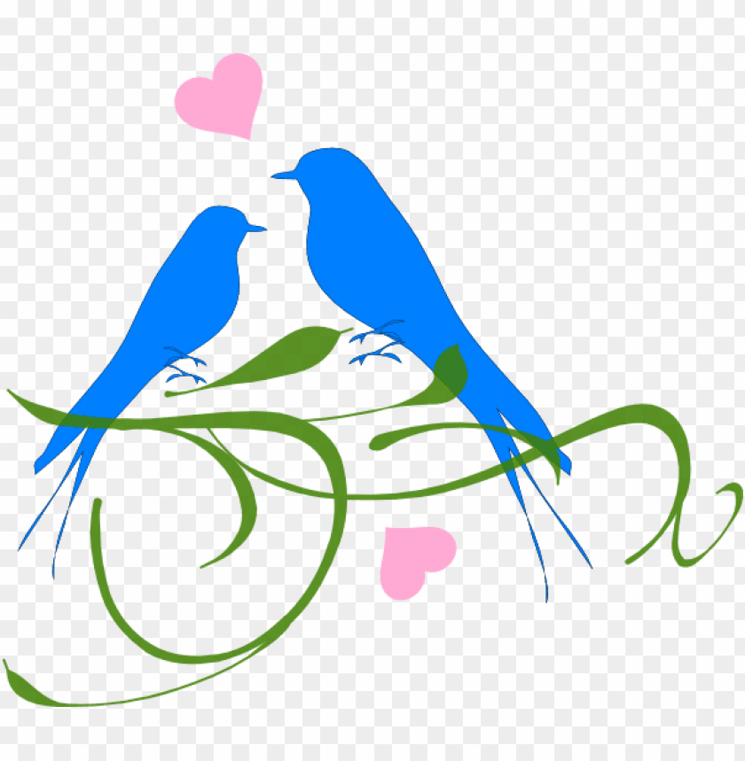 Free download | HD PNG love birds PNG transparent with Clear Background ...