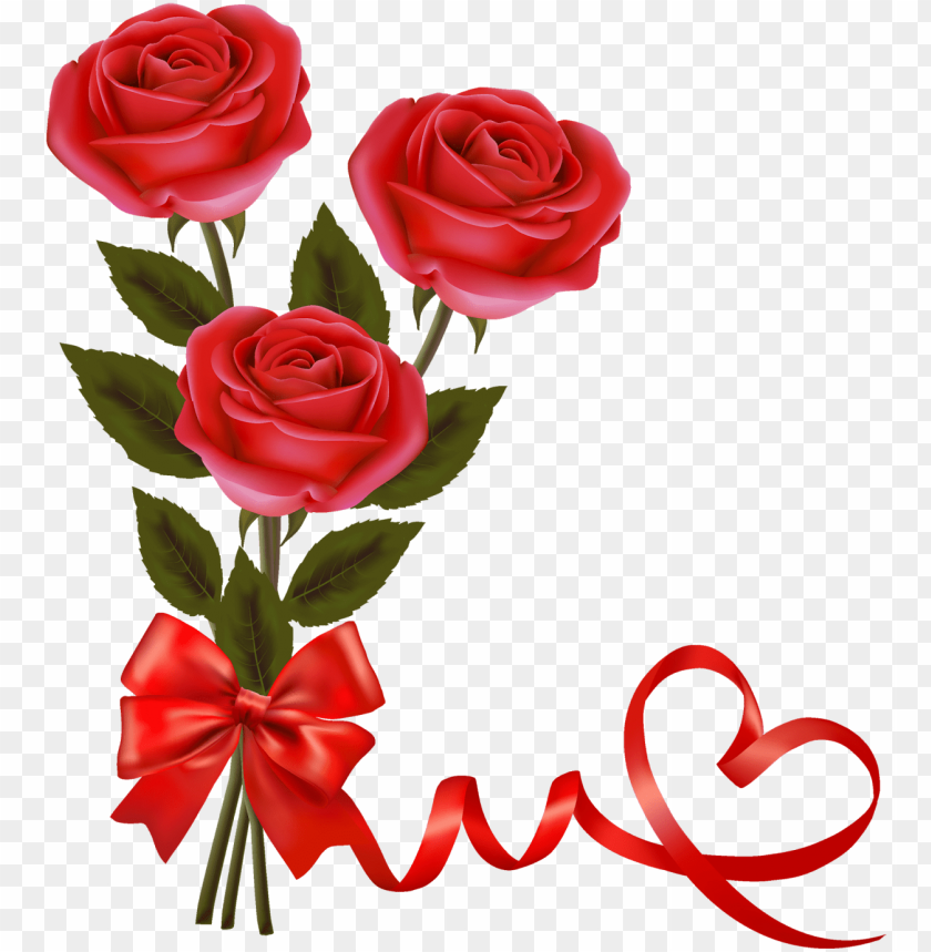 Free download | HD PNG love red roses PNG transparent with Clear ...