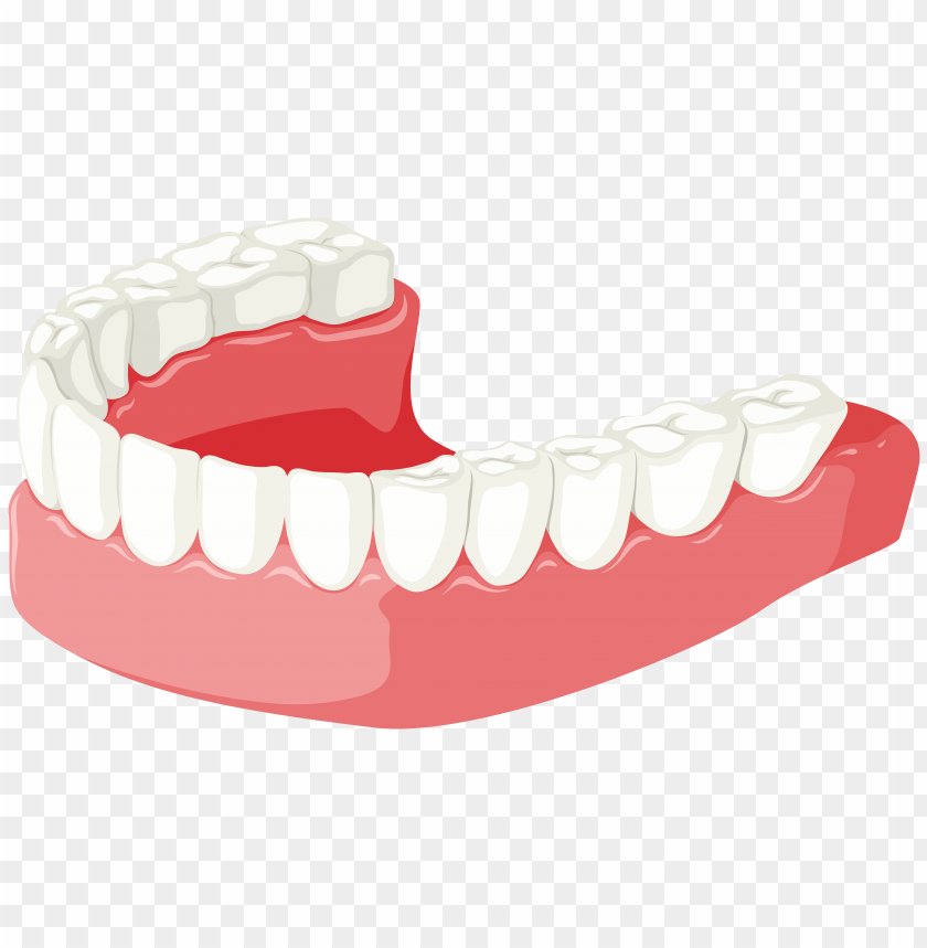 Free download | HD PNG lower jaw clipart png photo - 31068 | TOPpng