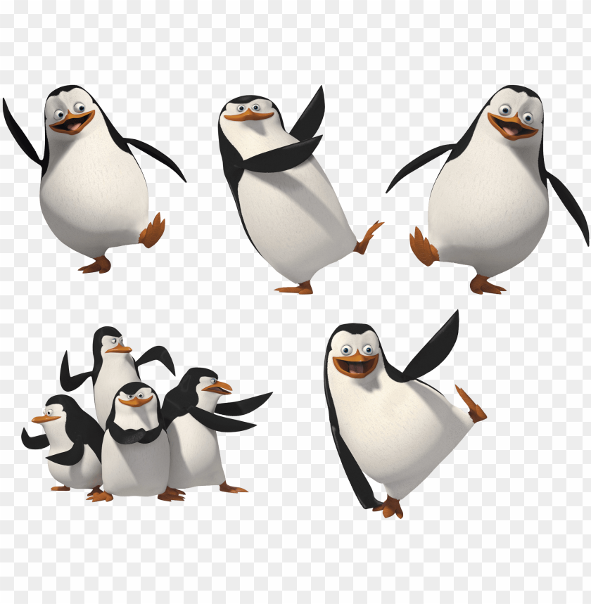 Free download | HD PNG madagascar penguins png image penguin of ...