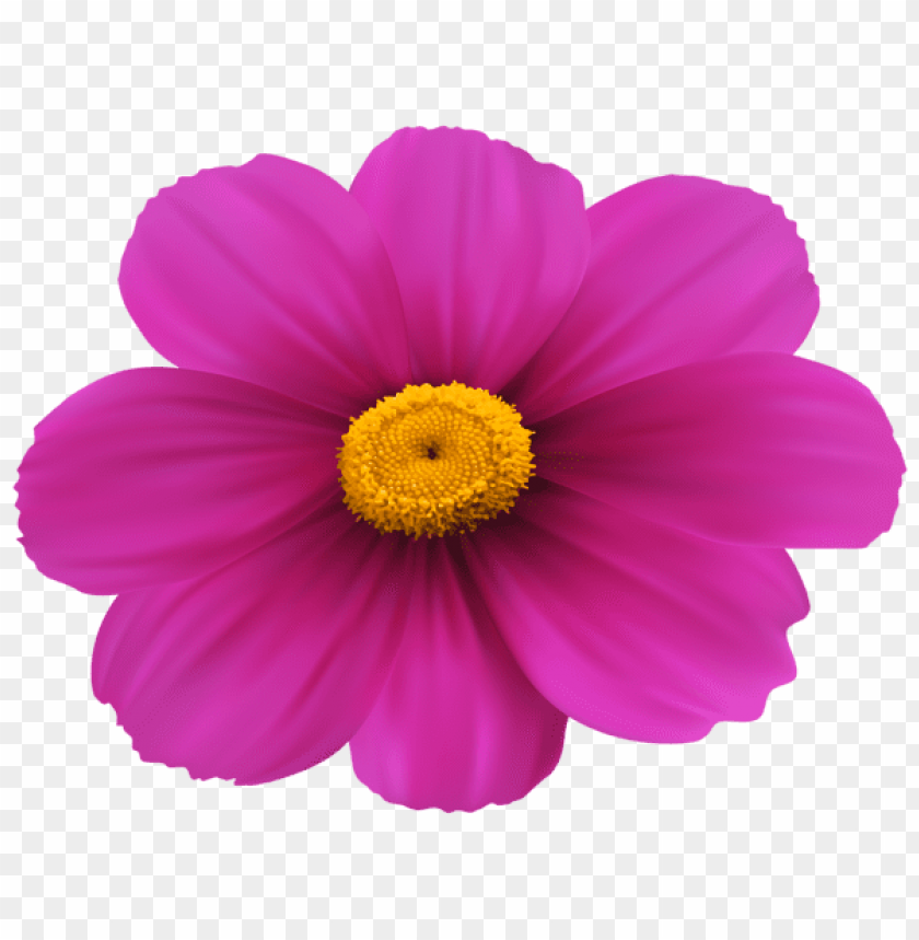 Free download HD PNG PNG image of magenta flower transparent