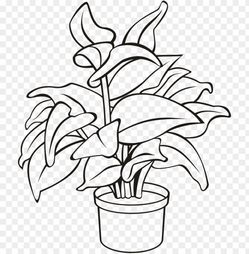 Free download | HD PNG medium image potted plant clipart black and ...