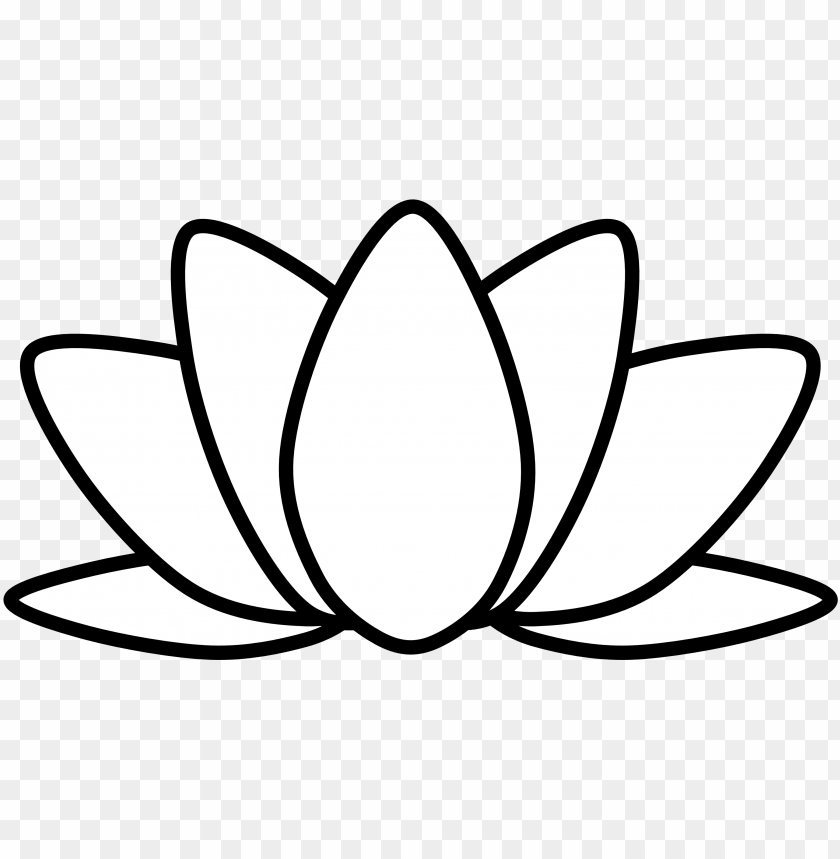 Free download HD PNG mothers day drawing flower mothers day drawing