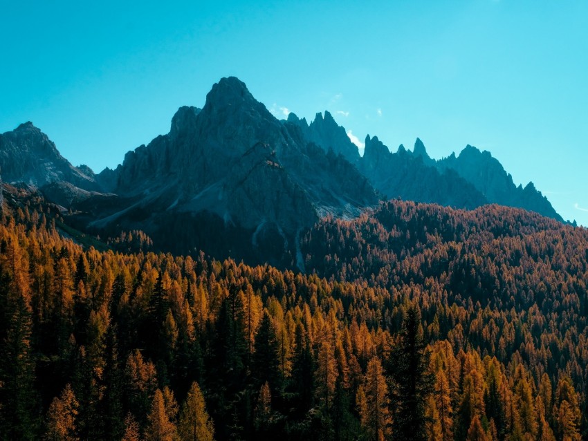 Free download | HD PNG mountain trees autumn shadows aerial view 4k ...