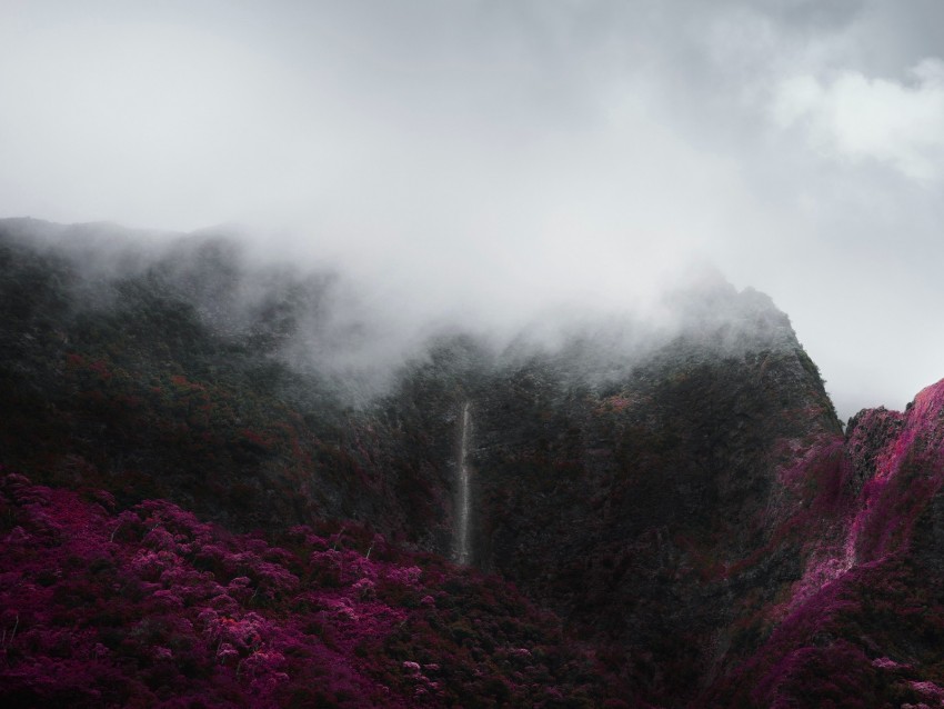 Free download | HD PNG mountains fog clouds trees vegetation landscape ...