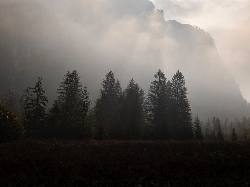 Free download | HD PNG mountains fog trees sky dark 4k wallpaper | TOPpng