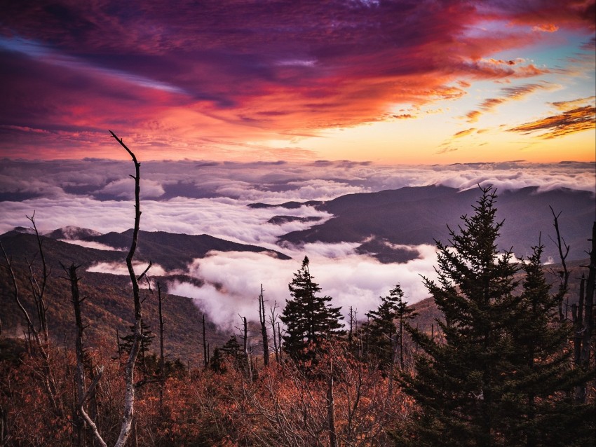 Free download | HD PNG mountains forest fog clouds landscape 4k ...
