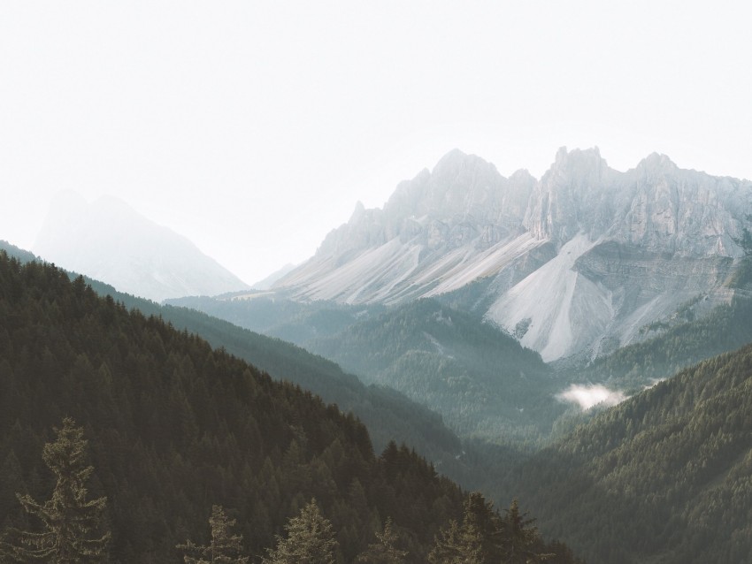 Free download | HD PNG mountains forest fog slopes trees 4k wallpaper ...