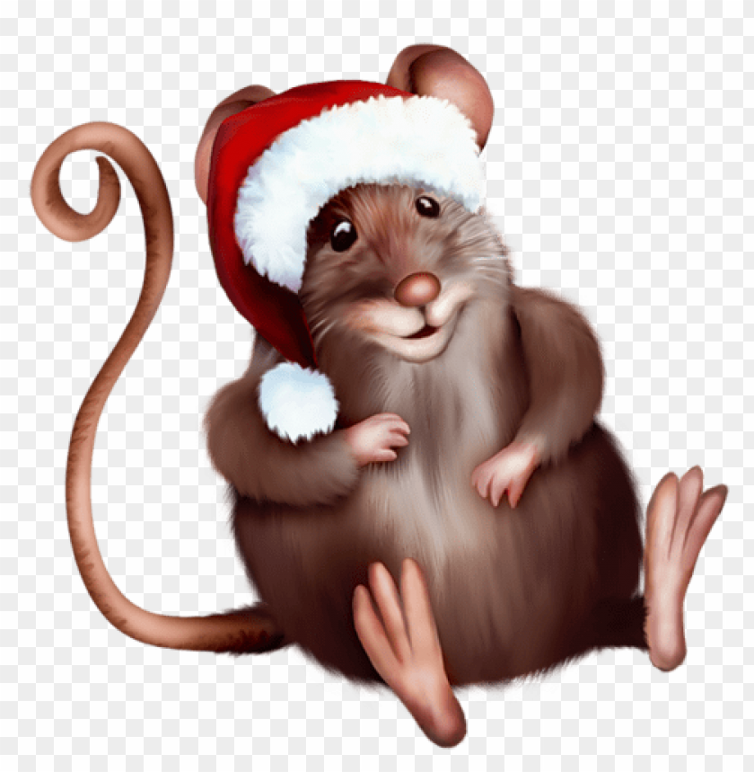 Free download | HD PNG mouse with santa hatcartoon clipart png photo
