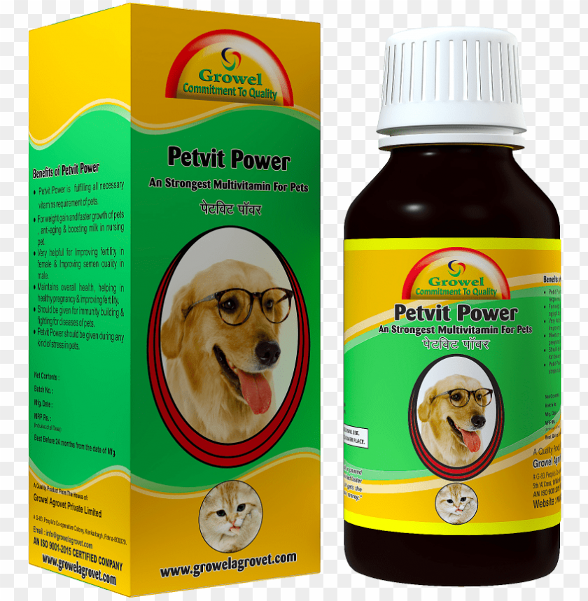 Free download HD PNG multivitamin for dog cat golden retriever dog