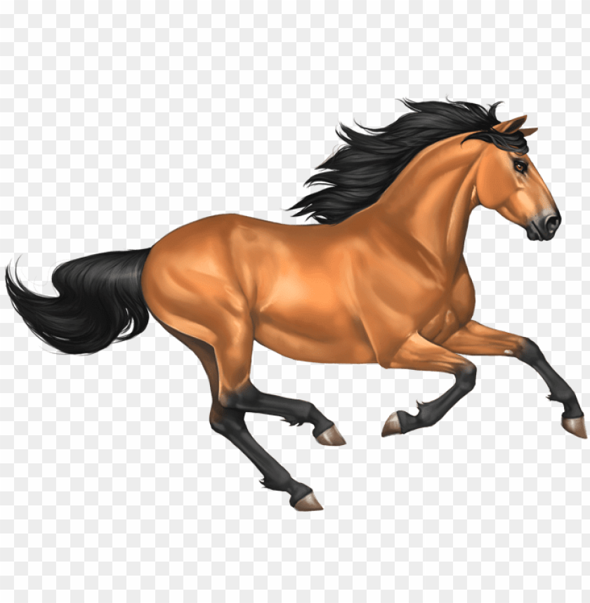 Download mustang horse png image - transparent background ...