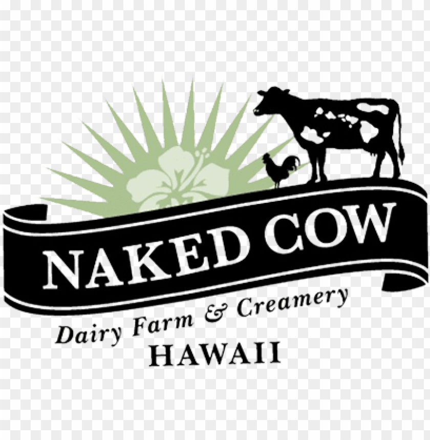 Free Download Hd Png Naked Cow Dairy Png Transparent With Clear Background Id Toppng