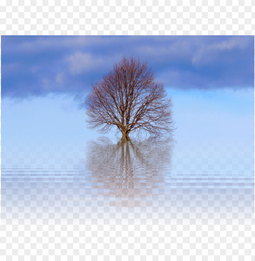 Free Download HD PNG Natur In Schwarzweiss Mauspad PNG Transparent free-download-hd-png-natur-in-schwarzweiss-mauspad-png-transparent