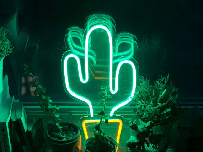 Neon Cactus Flowers Light Green Background Toppng - neon green aesthetic roblox logo