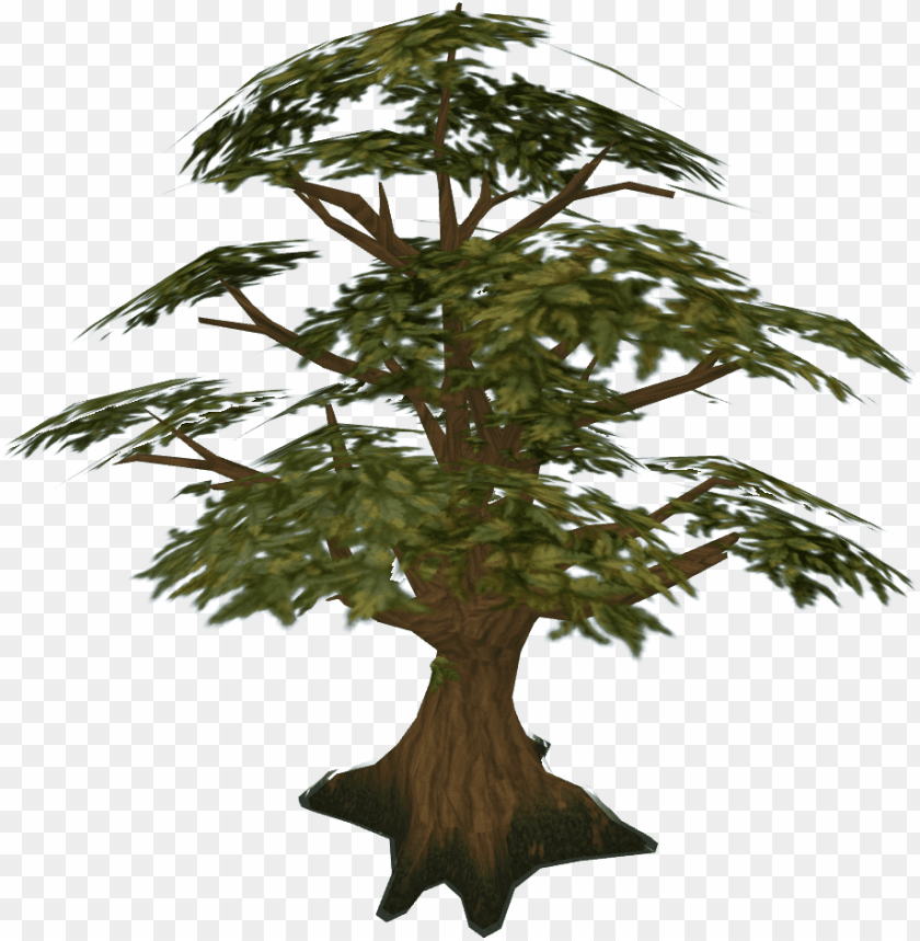 Free download | HD PNG oak tree runescape PNG transparent with Clear ...