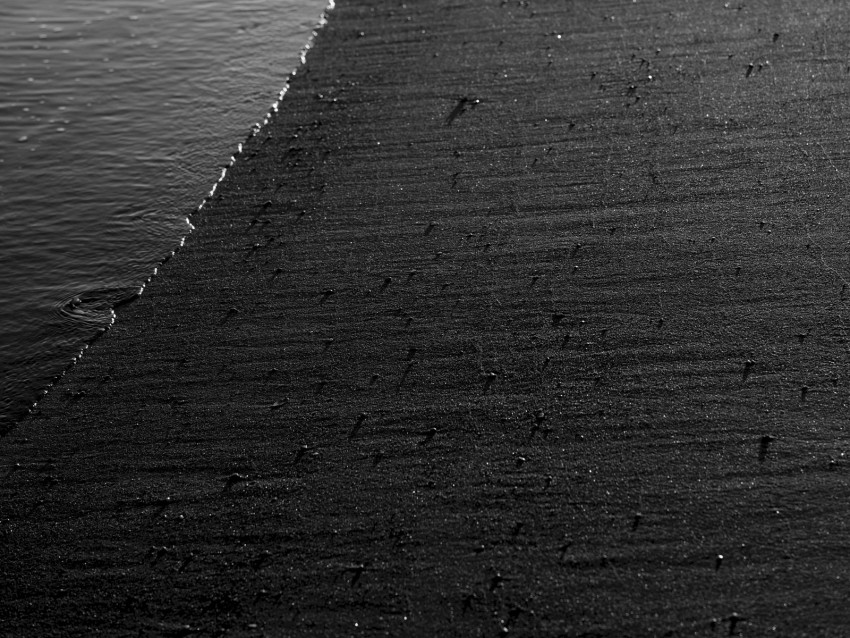 Free Download Hd Png Ocean Shore Bw Sand 4k Wallpaper Toppng Free Download Hd Png Ocean Shore Bw Sand 4k Wallpaper Toppng
